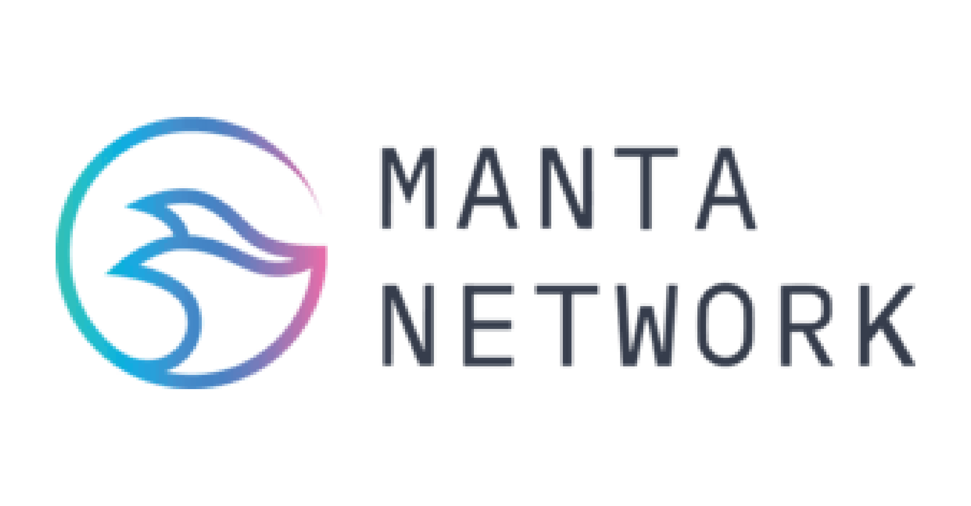 Manta Network
